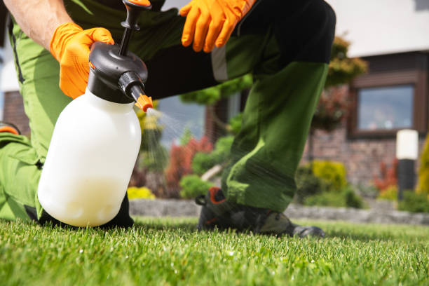 Pest Control for Restaurants in Martinsburg, PA