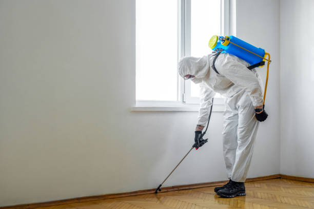Professional Pest Control in Martinsburg, PA