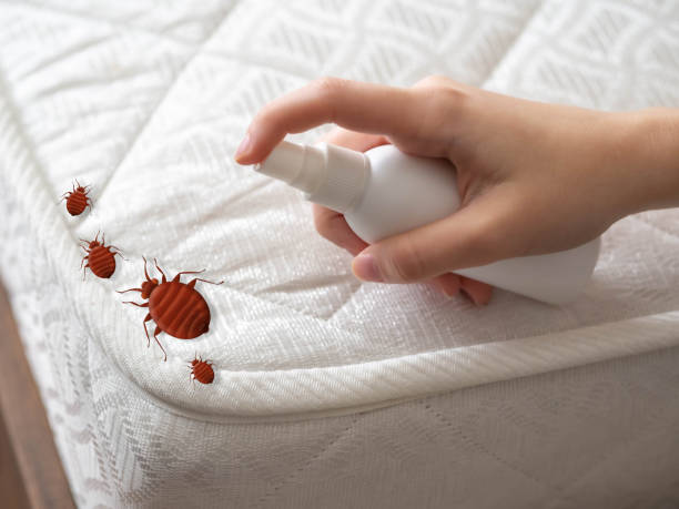 Best Pest Control for Businesses  in Martinsburg, PA