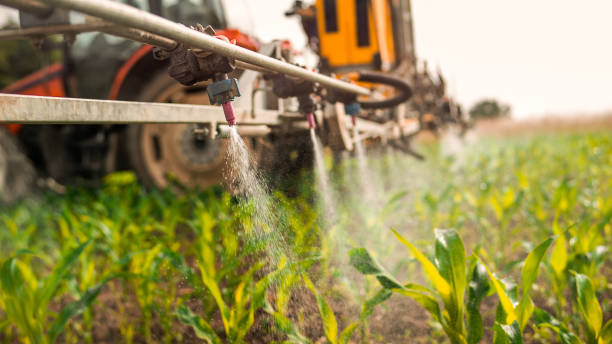 Pest Control Cost in Martinsburg, PA